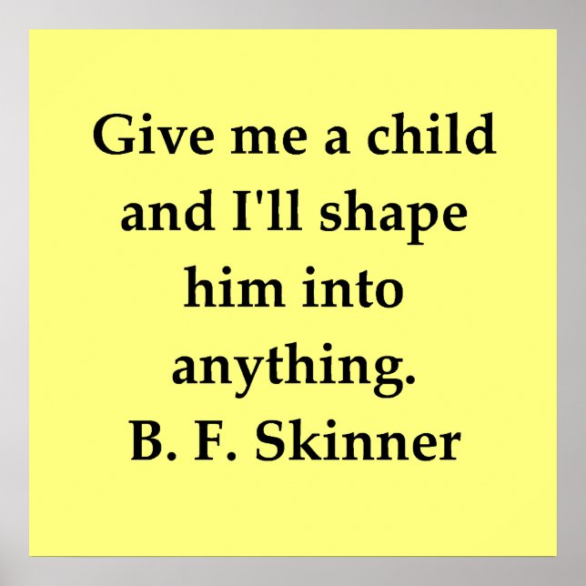 b f skinner quote poster (Front)
