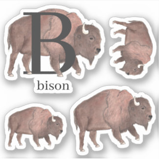 B for Bison Stickers