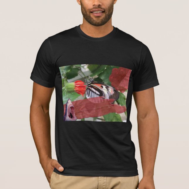 $B$ $harks & Old English T-Shirt (Front)