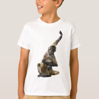 B is for Black Handed Spider Monkey