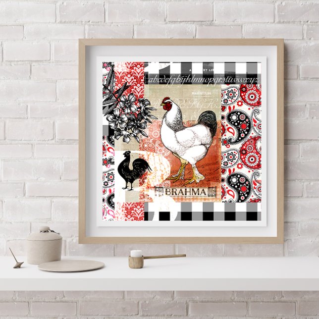 B is for Brahma Backyard Chicken Poster (Creator Uploaded)