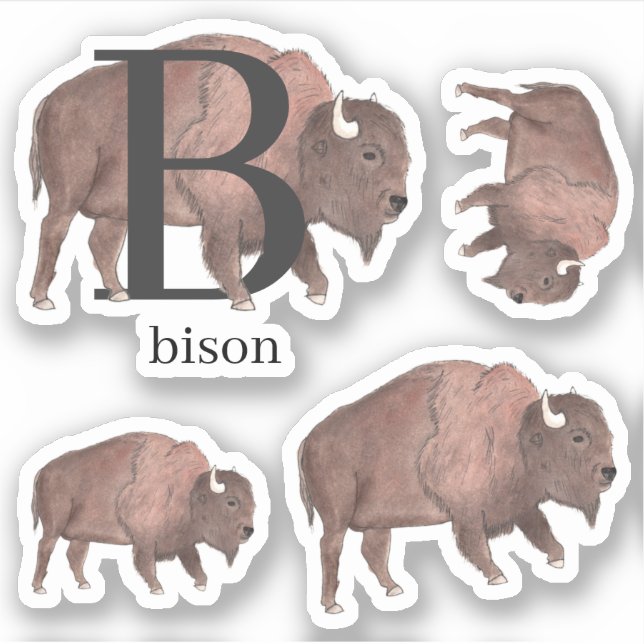 B pour Stickers Bison (Devant)