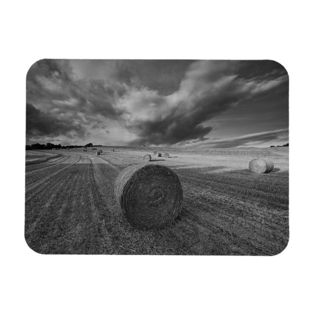 B&W Barley Field Magnet (Horizontal)