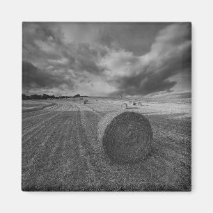B&W Barley Field Magnet