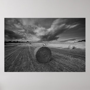 B&W Barley Field Poster