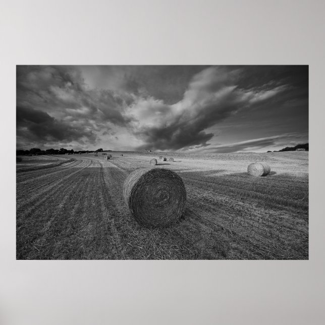 B&W Barley Field Poster (Front)