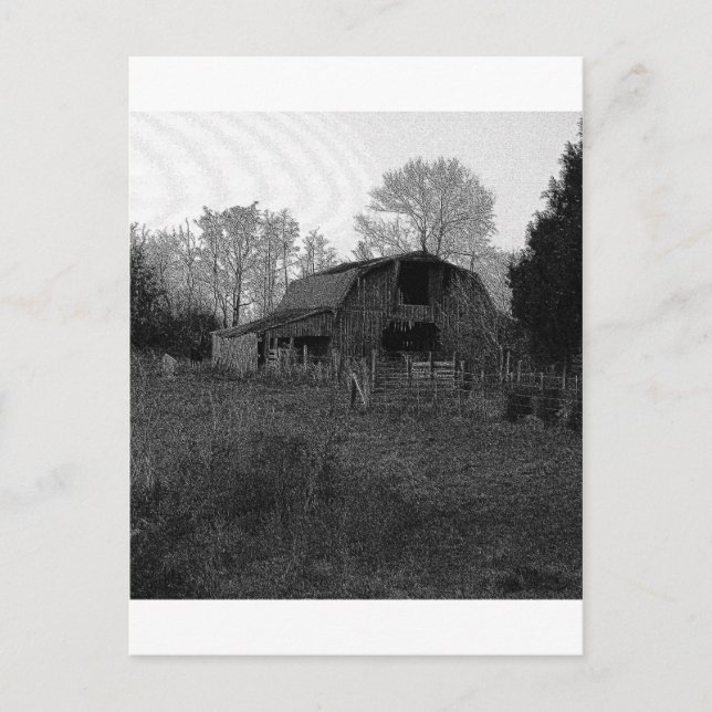 B&W Barn Postcard (Front)