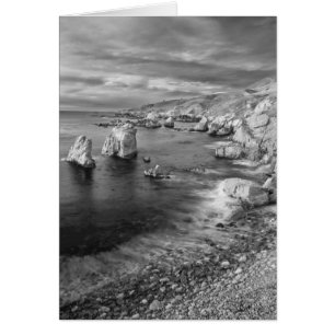 B&W beach coastline, California