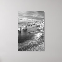 B&W beach coastline, California