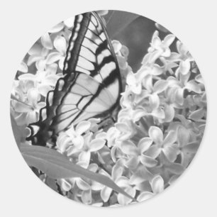 B&W Beauty Classic Round Sticker