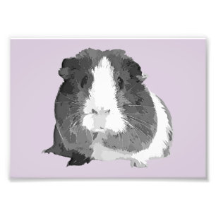 B&W 'Betty' Guinea Pig Print (Frames Available!)