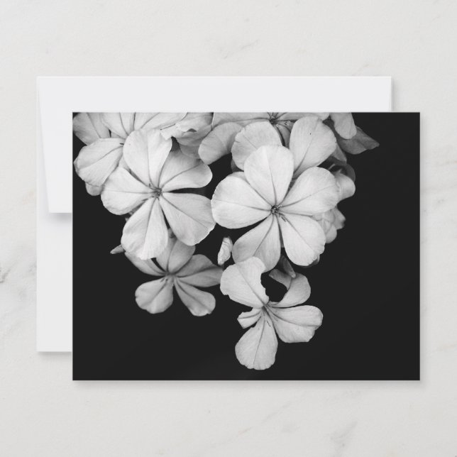 b&w carte postale (Devant)