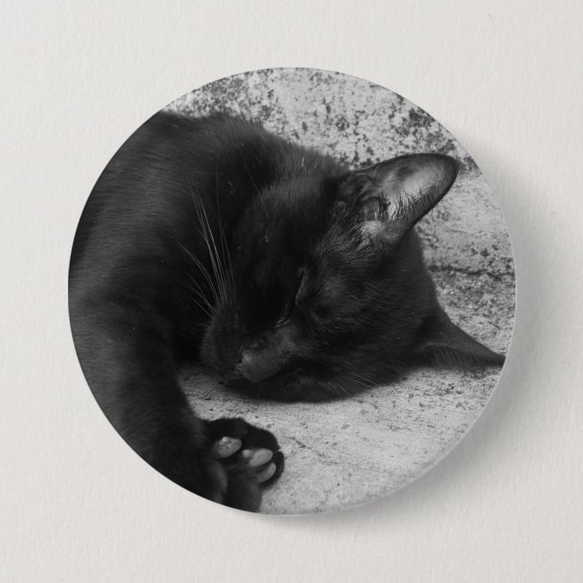 B&W - Cat Sleeping 3 Inch Round Button (Front)