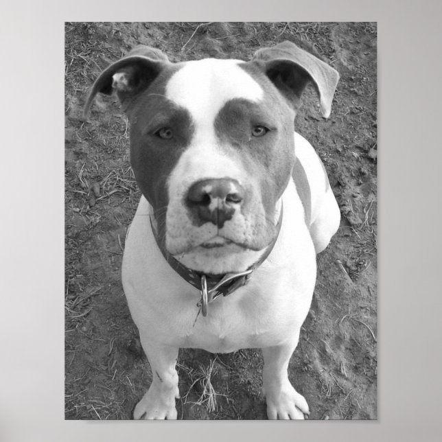 B/W Chevy Poster (Front)