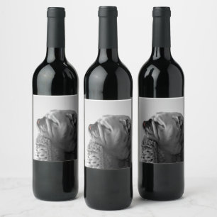 B&W Colorized Bulldog Resting Head Wine Label