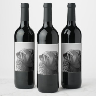 B&W Colorized Bulldog Resting Head Wine Label