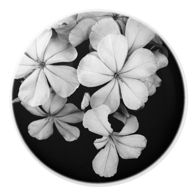 B&W Elegant flowers Ceramic Knob (Front)