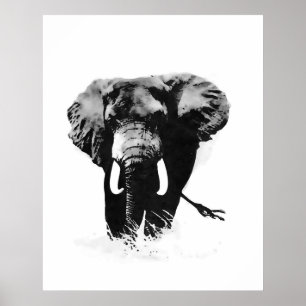 B&W Elephant Posters Prints