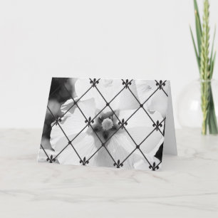 B/W Flower & Fleur de lis Greeting Card