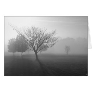 B&W Foggy Morning Sunrise Greeting Card