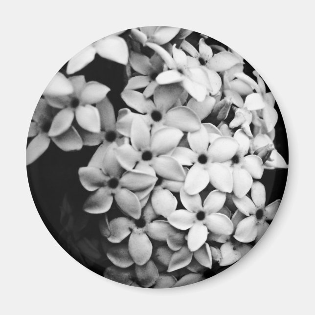 B&W MAGNET (Front)