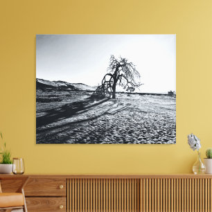 B+W Namib Desert Tree Canvas Print