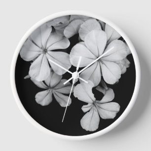 b&w Plumbago Clock