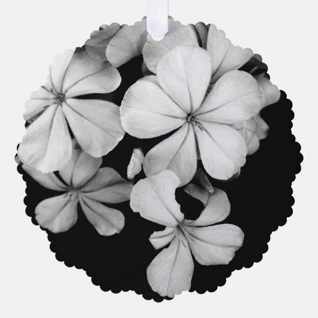 b&w Plumbago Ornament Card (Front)