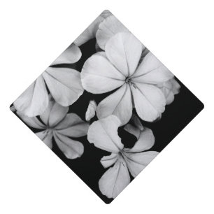 b&w postcard graduation cap topper