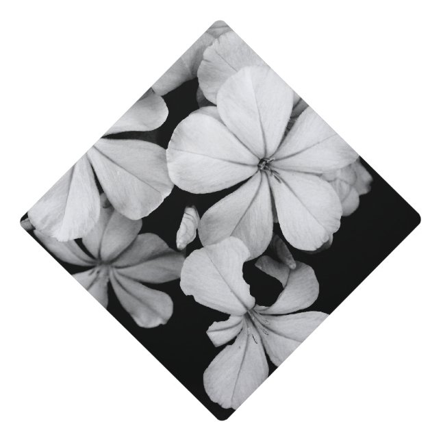 b&w postcard graduation cap topper (Front)