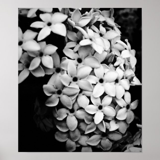 B&W POSTER (Front)