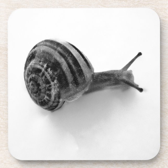 B&W snail Coaster (Front)