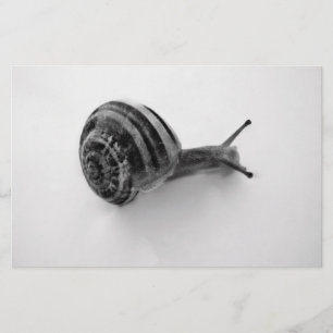 B&W snail Stationery