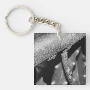 B&W - Spider 02 Keychain