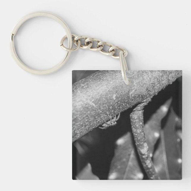 B&W - Spider 02 Keychain (Front)