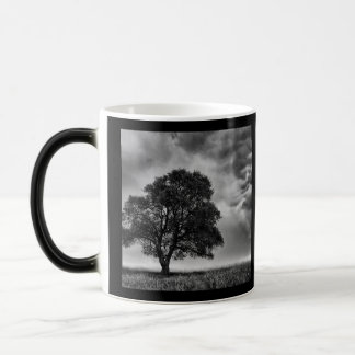 B&W Tree & Sky Photo Magic Mug