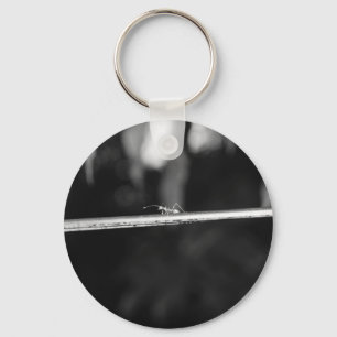 B&W - Weaver Ant Keychain