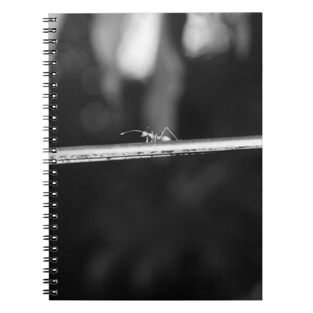 B&W -  Weaver Ant Notebook (Front)