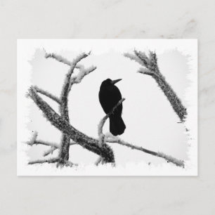 B&W Winter Raven Edgar Allan Poe Postcard