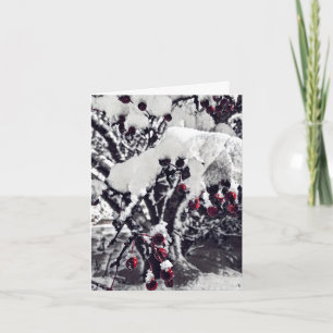 B&W with Red Crab Apple Berries in Snow Xmas Card