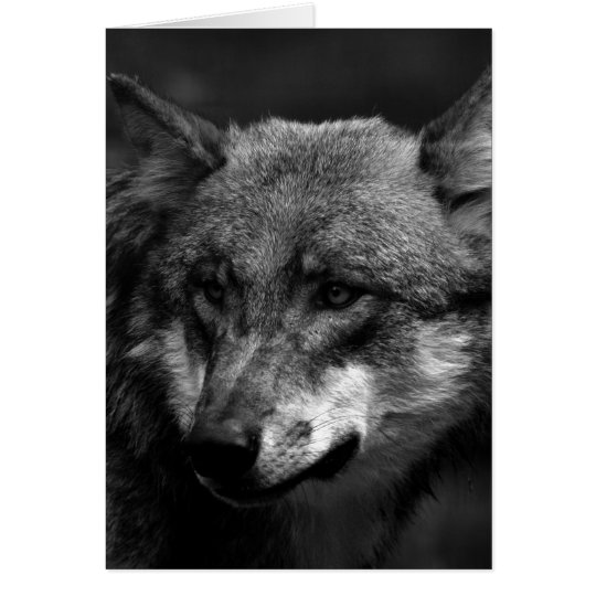 B&W Wolf Card