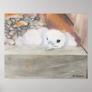 B.Weaver Orion design 14" x 11" Poster