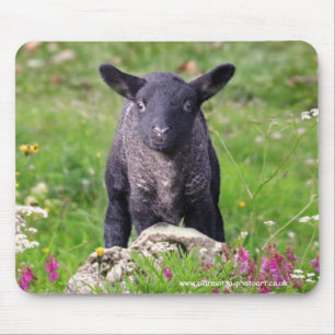 Baa-Baa Black Sheep Mousemat Mouse Pad