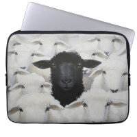 Baa-tle of Individuality