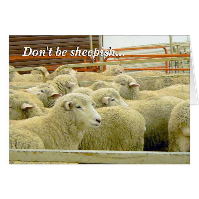 Baaaaa!- Keep in Touch! (Front Horizontal)