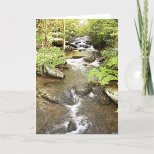 Babbling Brook Card