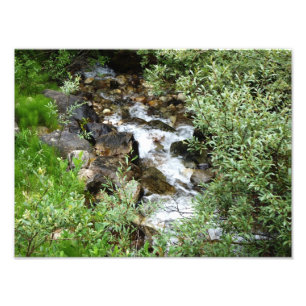 Babbling brook photo print