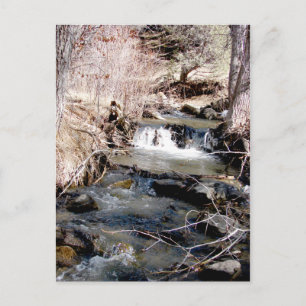 Babbling Brook Postcard