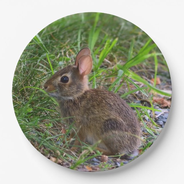 Babby Bunny Paper Plate (Front)