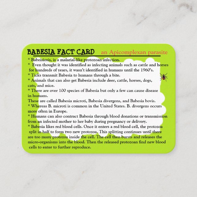 Babesia Fact Educational Card (Front)